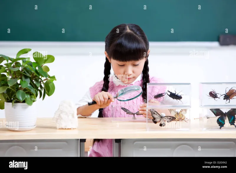 La mue, l'élevage, la manip' : quand les insectes s'invitent à l'école pour réveiller les petits scientifiques